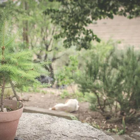 Bela Vista Silo Housing Farm stay