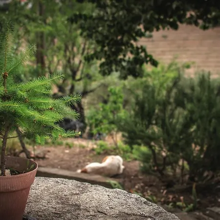 Bela Vista Silo Housing Feriegård *