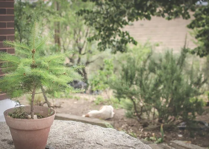 Bela Vista Silo Housing Фермерский дом