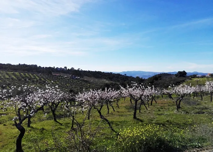 Bauernhof Bela Vista Silo Housing