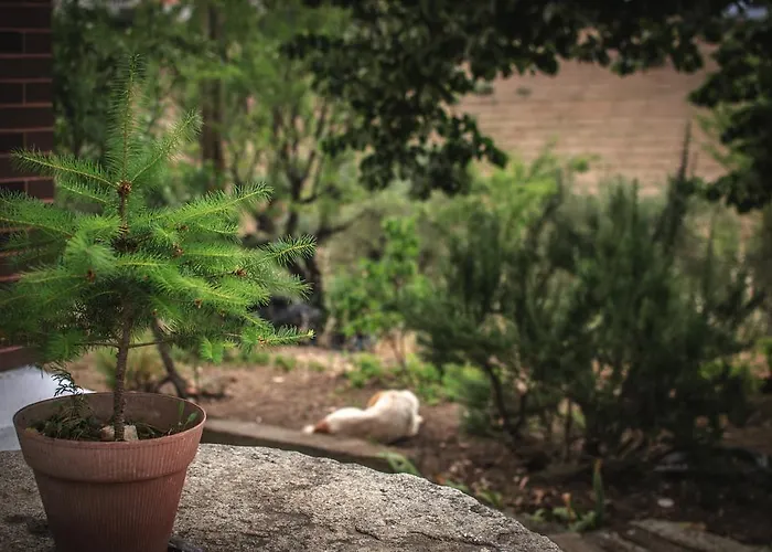 Bela Vista Silo Housing Фермерский дом *